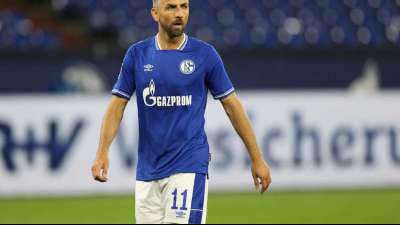 Schalke löst Vertrag mit Ibisevic - Harit und Bentaleb suspendiert 