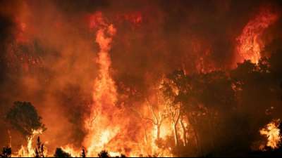Feuerwehr k&auml;mpft gegen verbissen Waldbr&auml;nde in Marokko