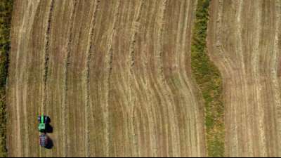 Greenpeace steigt aus Zukunftskommission Landwirtschaft aus