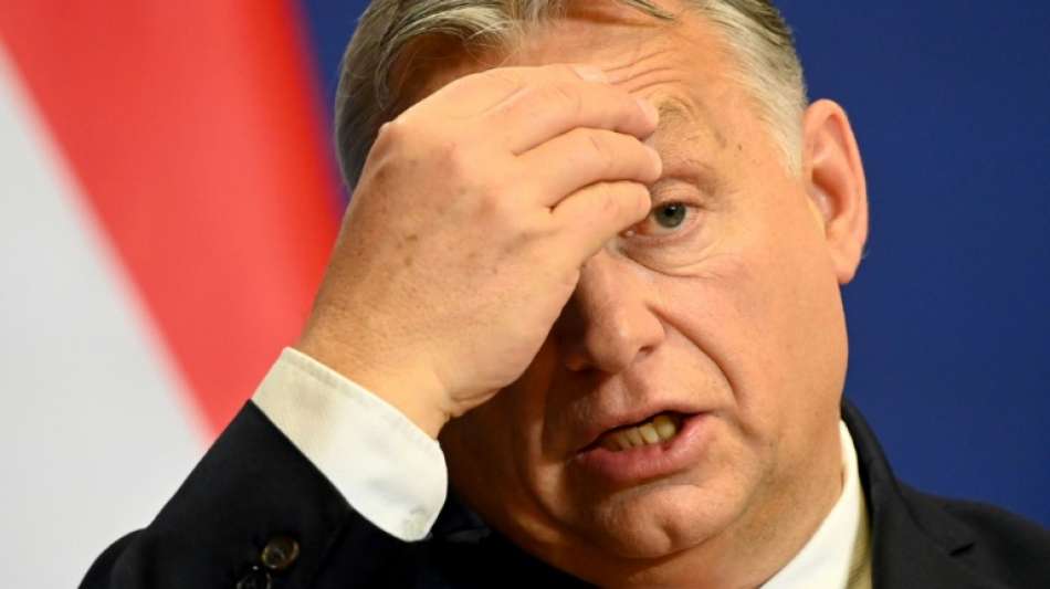 Präsident Ader: Ungarn wählt am 3. April ein neues Parlament