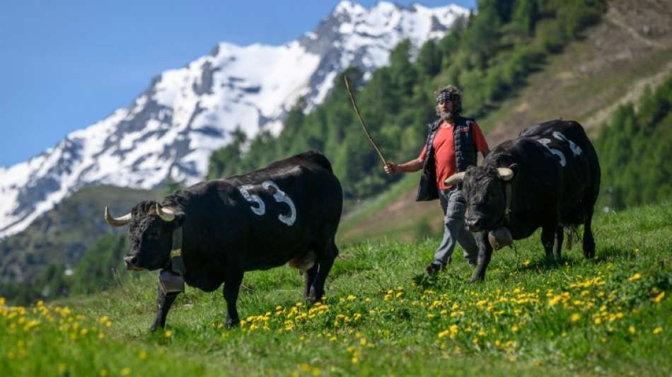 Lebenshaltungskosten in der Schweiz im europäischen Vergleich am höchsten