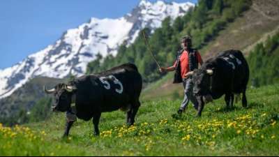 Lebenshaltungskosten in der Schweiz im europ&auml;ischen Vergleich am h&ouml;chsten