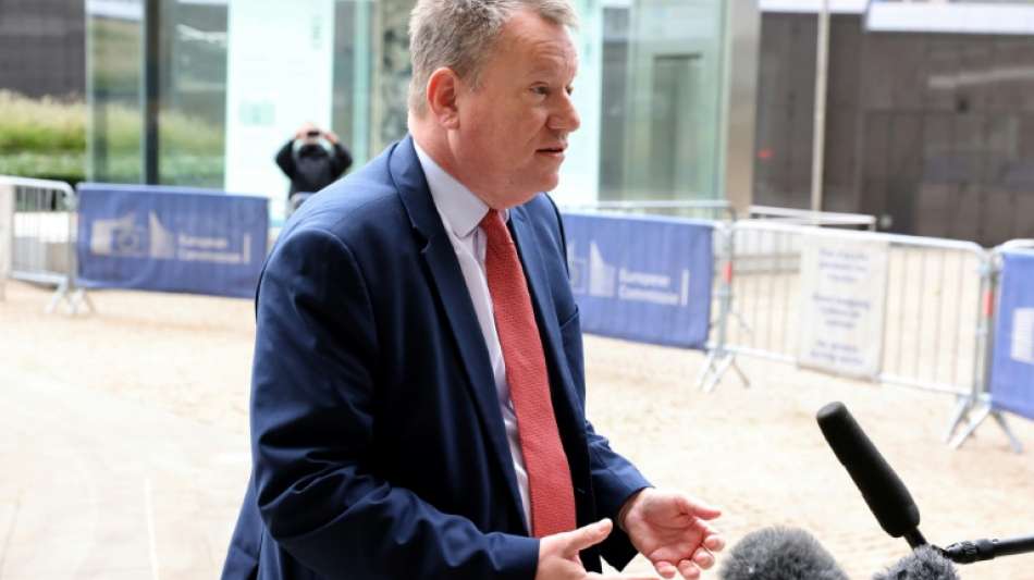 Briten warnen bei Nordirland-Protokoll vor Scheitern