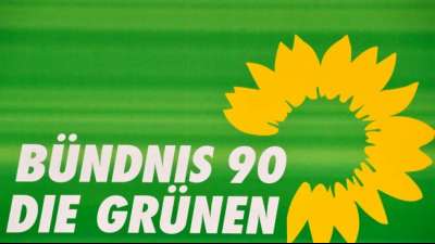 Gr&uuml;nen-Vize Lang begr&uuml;&szlig;t Nouripour-Kandidatur f&uuml;r Parteivorsitz