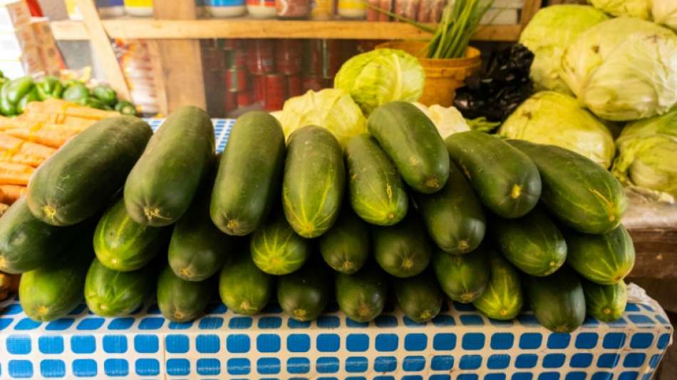 Gurken mit Plastikh&uuml;lle in Frankreich von 2021 an verboten