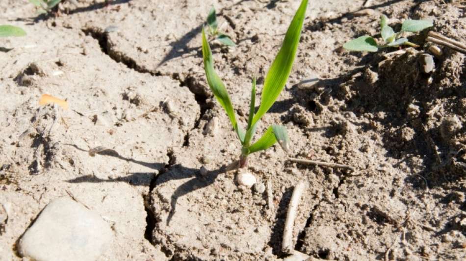 Bayern will dringend bessere Risiko- absicherung gegen Dürre für Bauern