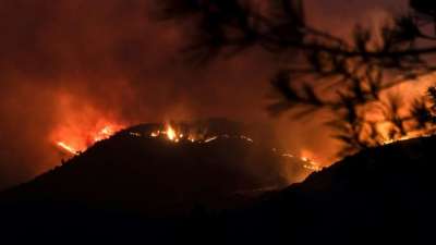 Polizei Zypern: Vier Tote bei einem verheerendem Waldbrand