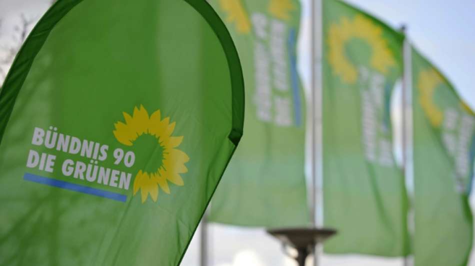 Bundes-Grüne nehmen Saar-Partei an die Kandare