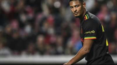 Haller trifft erneut: Ajax mit 2:2 bei Benfica