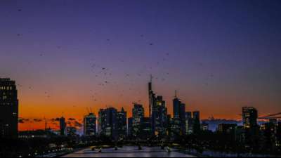 Bundeskabinett beschlie&szlig;t Strategie f&uuml;r nachhaltige Finanzwirtschaft