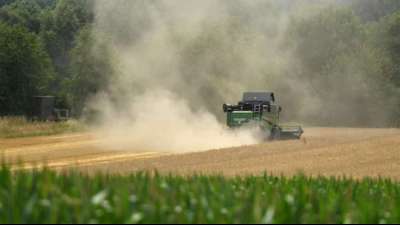 Kleinere Felder in der Landwirtschaft k&ouml;nnten gegen Artensterben helfen