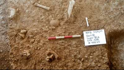 Israelische Forscher entdecken neuen Typ eines pr&auml;historischen Menschen
