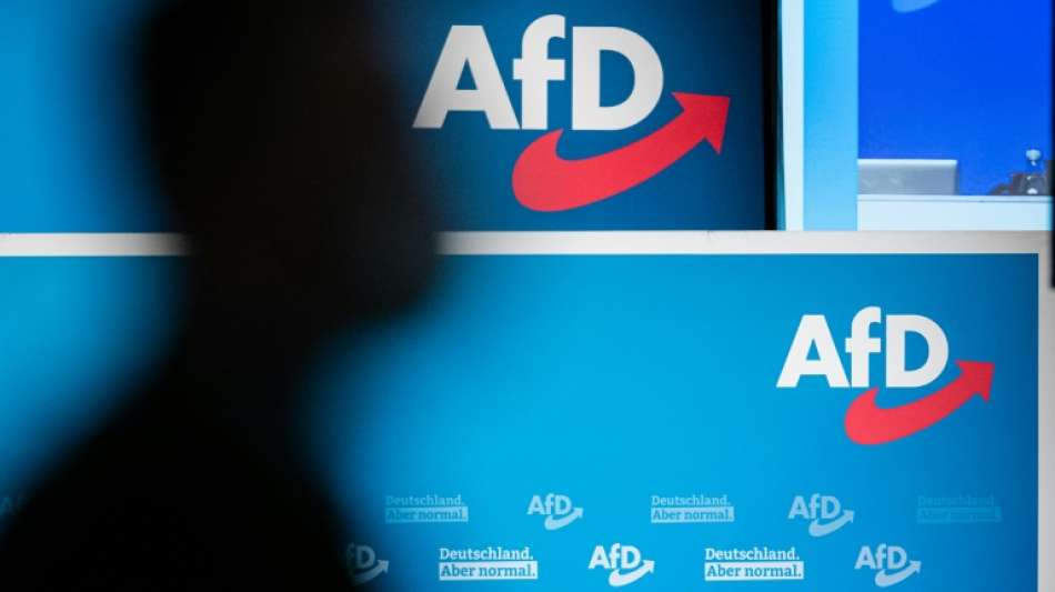 AfD löst "Arbeitsgruppe Verfassungsschutz" auf