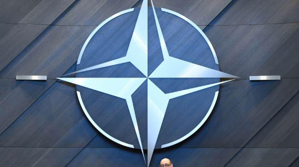 Elf Staaten erreichen 2020 Nato-Ziel bei Verteidigungsausgaben