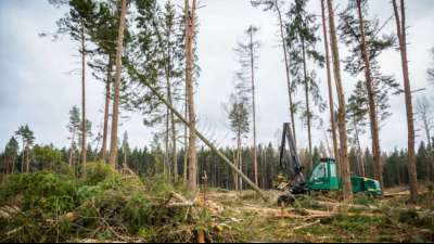 Erzeugerpreise f&uuml;r Rohholz erstmals seit 2014 gestiegen