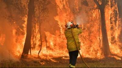 Freiwillige Feuerwehrleute bekommen Entschädigung für Einsatz gegen Buschbrände
