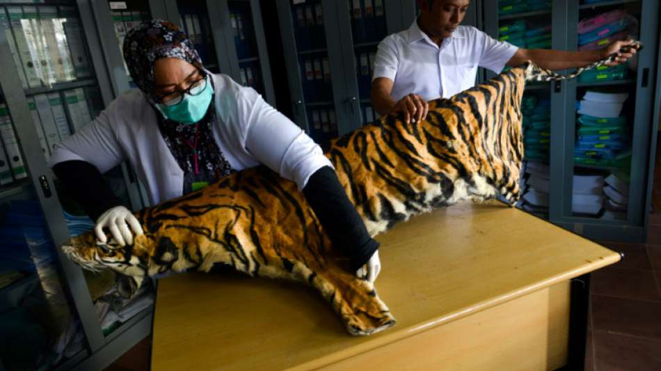 Tiger, Elefanten, Geier - Myanmar erlaubt kommerzielle Zucht bedrohter Arten