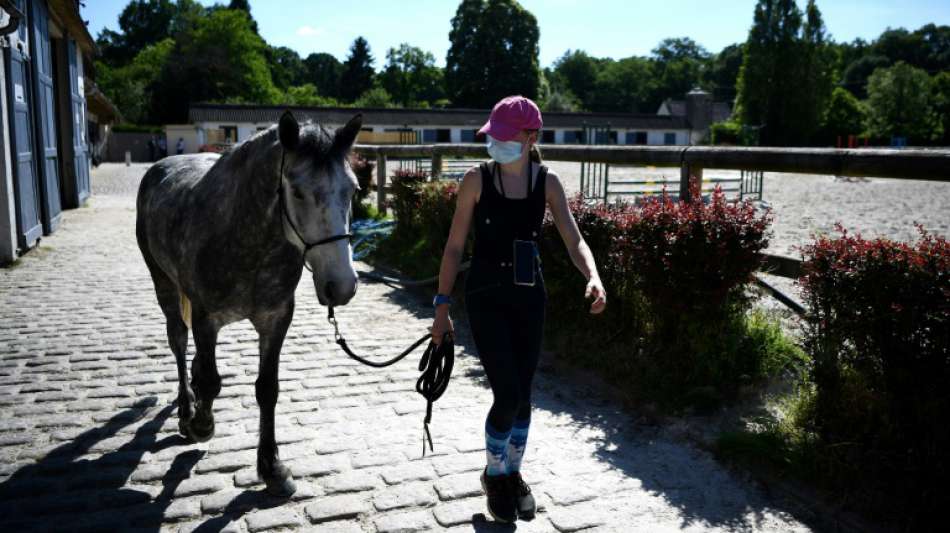 Pferd mit durchgeschnittener Kehle in Bretagne gefunden