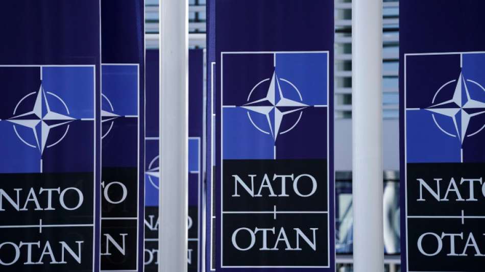 Maas ruft zur Stärkung der Nato auf
