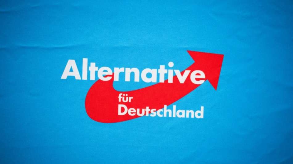 AfD plant erneut eigenen Kandidaten f&uuml;r die Bundespr&auml;sidentenwahl