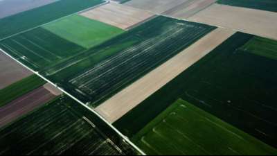 Landwirtschaftliche Betriebe in Deutschland "so groß wie nie"