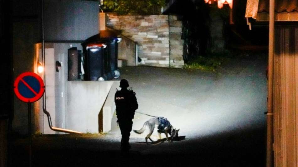 F&uuml;nf Tote und zwei Verletzte bei Angriff mit Pfeil und Bogen in Norwegen