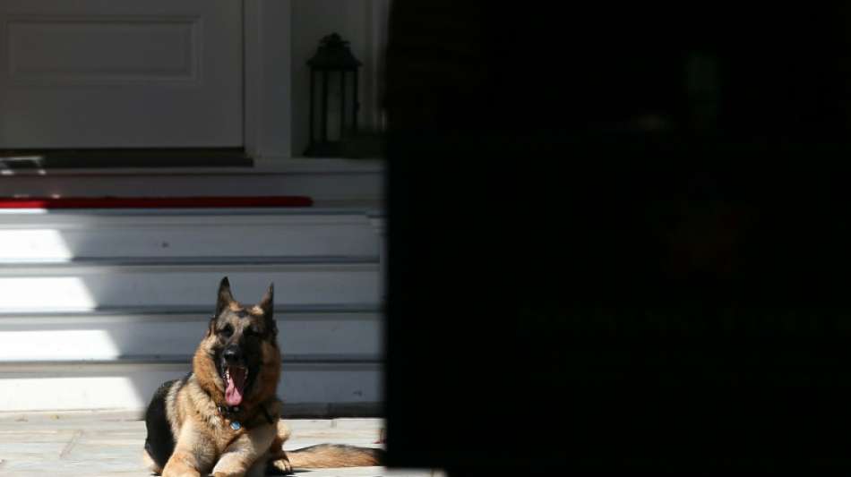 "First Dogs" Champ und Major ziehen ins Wei&szlig;e Haus ein