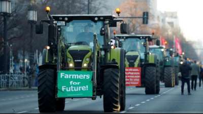 Gro&szlig;demonstration f&uuml;r Agrarwende Ende Januar abgesagt