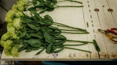 Floristinnen und Floristen bekommen f&uuml;nf Prozent mehr Lohn