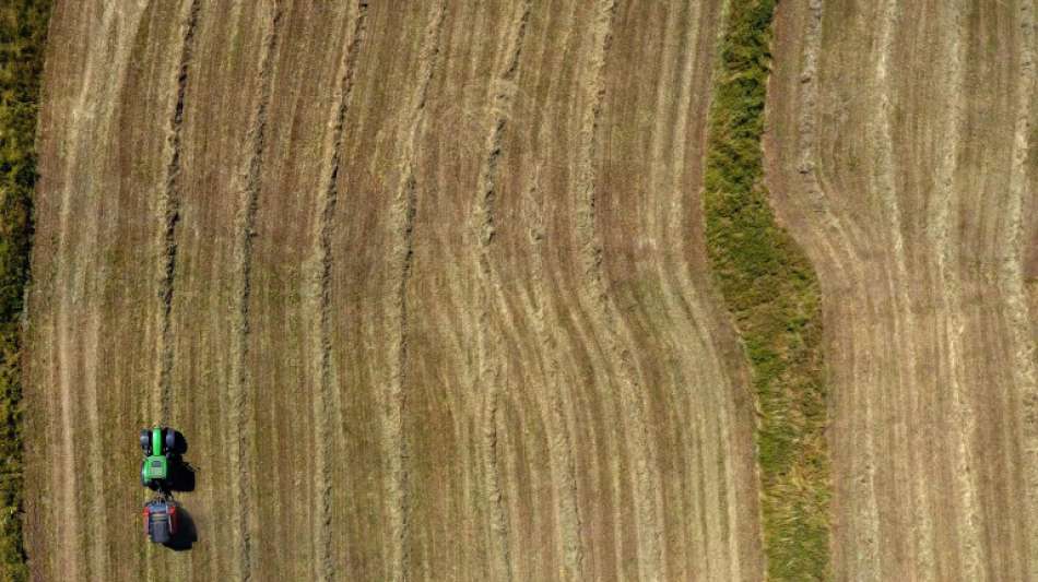 Bund f&uuml;r Umwelt und Naturschutz lobt geplante Neuverteilung der EU-Agrargelder