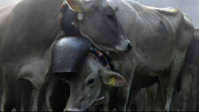 WWF sorgt sich nach ergebnisloser Runde um Ausgestaltung der EU-Agrarpolitik