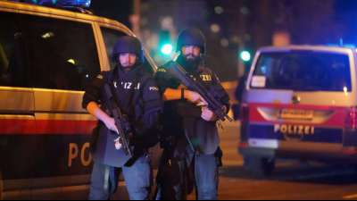 Zwei Tote bei mutmaßlichem Anschlag in Wiener Innenstadt