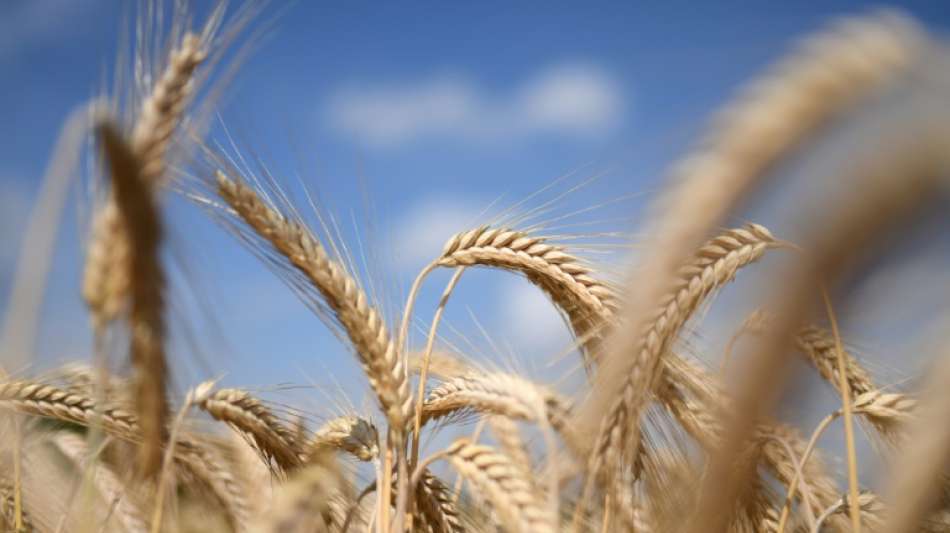 EU-Landwirtschaftsminister einigen sich auf 25 Prozent Bio-Anbau