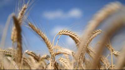 EU-Landwirtschaftsminister einigen sich auf 25 Prozent Bio-Anbau