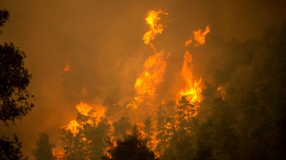 Feuerwehr: Br&auml;nde auf griechischer Insel Eub&ouml;a w&uuml;ten weiter