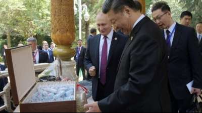 Putin schenkt Xi Jinping große Mengen Eiscreme zum Geburtstag