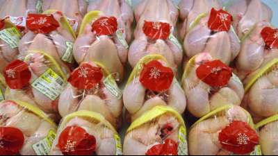 M&auml;nner schlagen in Th&uuml;ringen mit Tiefk&uuml;hlhuhn und Stange aufeinander ein