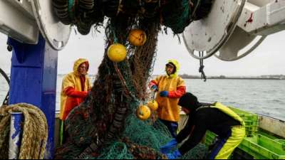 London droht Paris im Fischereistreit mit eigenen Vergeltungsmaßnahmen