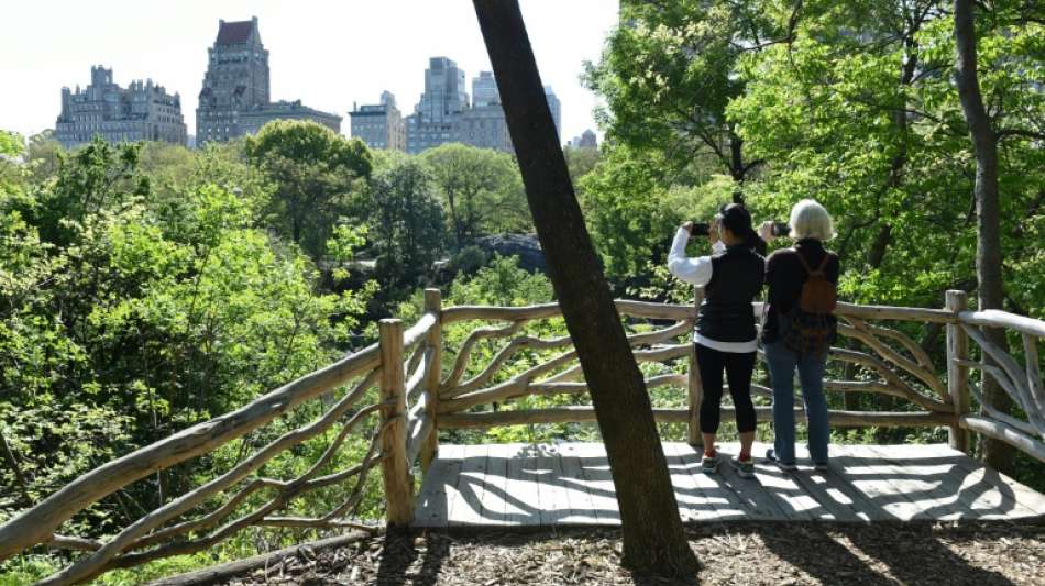 New York will Recht auf saubere Umwelt in Verfassung aufnehmen