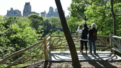 New York will Recht auf saubere Umwelt in Verfassung aufnehmen