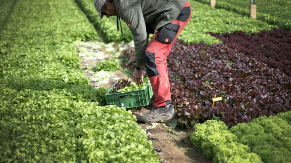 Bundestag beschlie&szlig;t Gesetz gegen unfaire Praktiken des Lebensmittelhandels