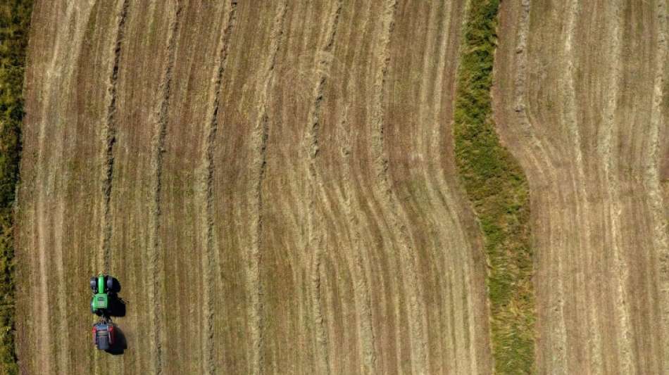 Preise landwirtschaftlicher Produkte legen weiter kr&auml;ftig zu - vor allem f&uuml;r Getreide