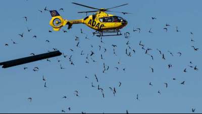 ADAC spart in der Corona-Pandemie - Beitr&auml;ge sollen stabil bleiben 