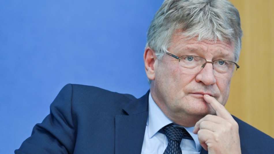 Parteichef Meuthen verl&auml;sst die AfD im Streit