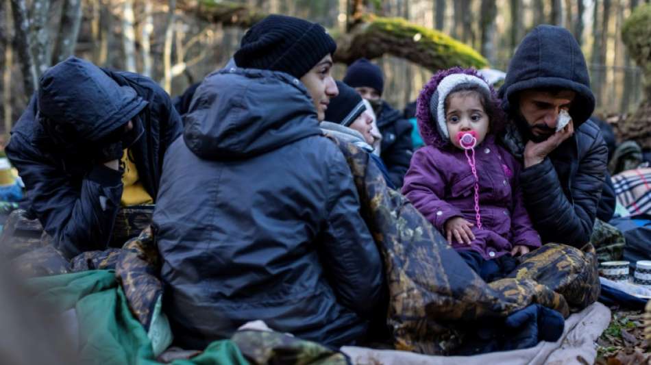 Polens Polizei nimmt mehr als 50 Migranten nahe der Grenze zu Belarus fest