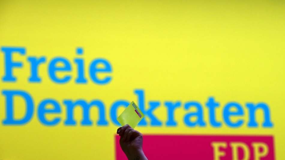Kieler Wirtschaftsminister Buchholz ist FDP-Spitzenkandidat bei Landtagswahl
