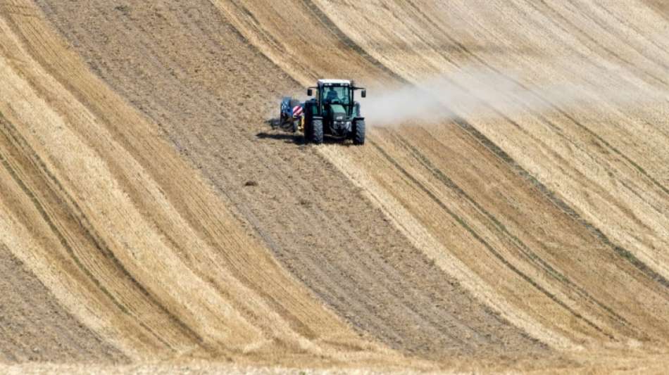 FDP will Landwirten steuerfreie Dürre-Rücklagen ermöglichen