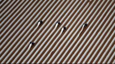 Ausl&auml;ndische Erntehelfer sollen auch dieses Jahr l&auml;nger ohne Sozialversicherung arbeiten k&ouml;nnen