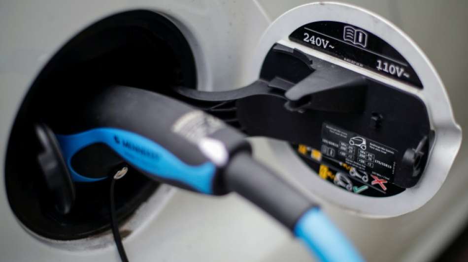 Ausbau von E-Ladesäulen: Energieverband gegen starre Ziele