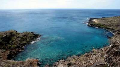 Treibstoff-Austritt nach Schiffsunfall vor Galapagos-Inseln "unter Kontrolle"